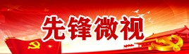 先锋微视