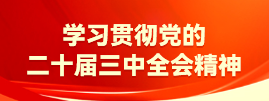 学习贯彻党的二十届三中全会精神