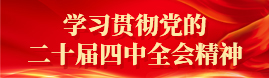 学习贯彻党的二十届四中全会精神