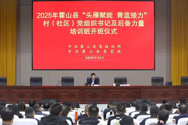 2025110510191119_uyhrbmTk.jpg